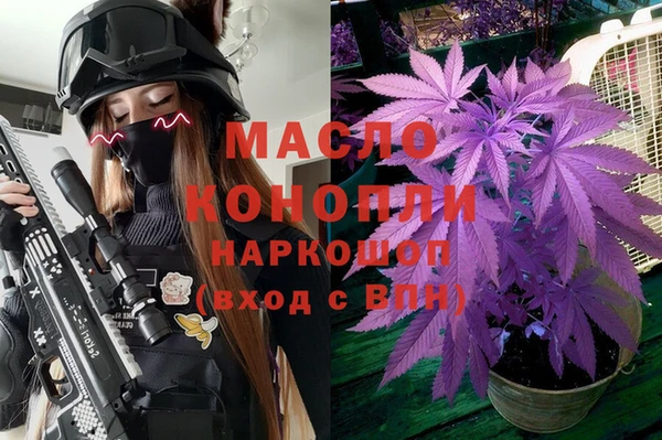 ECSTASY Алзамай