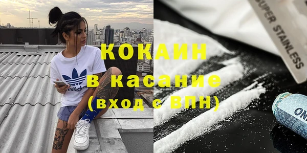 ECSTASY Алзамай