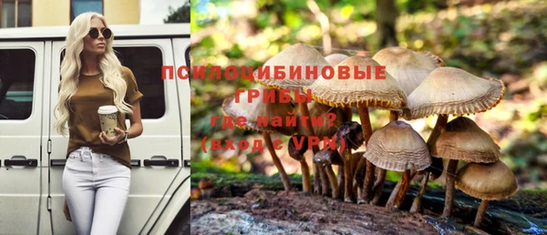 гидропоника Алексин