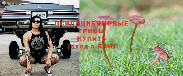 гидропоника Алексин