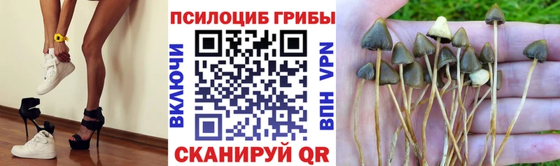 Галлюциногенные грибы Psilocybine cubensis  маркетплейс состав  Кохма 